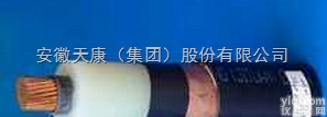 YJV22铠装<em>电力电缆</em>  <em>电力电缆</em>