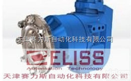 全  <em>西班牙</em>TDZ<em>活塞</em>泵