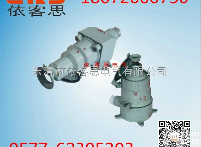 AC-15Z<em>直插式</em>防爆插销 AC-15Z<em>直插式</em>防爆插销的价格