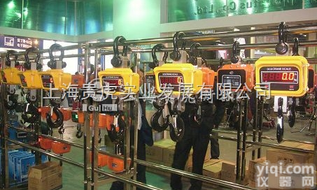 GH-OCS  <em>山东</em>50T<em>吊秤</em>+50T电子<em>吊秤</em>