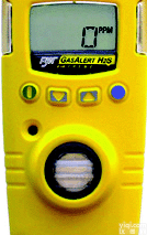 GAXT-C氯气检测仪、CL2单一气体报警<em>测试仪</em>加拿大BW<em>防水</em>型检测仪