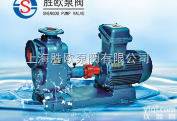 <em>CYZ-A型自吸离心油泵</em>