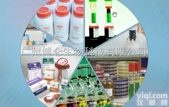 犬<em>冠状</em>病毒定量<em>检测卡</em><em>CCV</em>