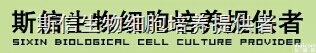 SXSW-2089  <em>细胞</em>培养瓶<em>提供者</em>上海