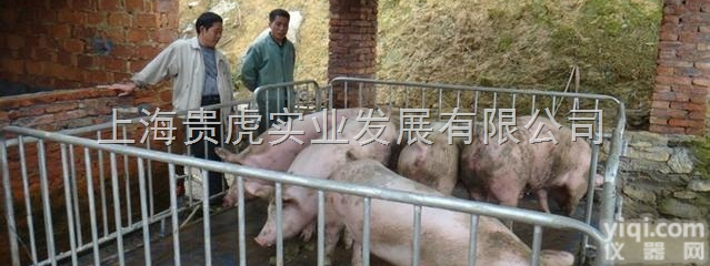 GH-SCS  <em>畜牧</em><em>电子秤</em>2吨，<em>畜牧</em>电子磅精度