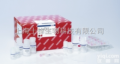 大鼠<em>丝氨酸</em>/<em>苏氨酸</em>蛋白<em>磷酸酶</em>（STK）ELISA试剂盒厂家