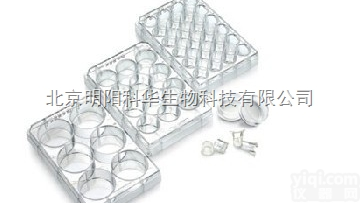 BD transwell<em>培养</em>板 353102 透明PET膜1.0um孔...
