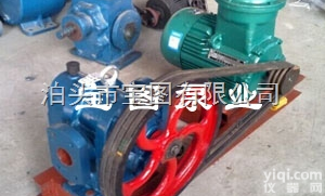 LC-38/0.6  高粘度<em>罗茨泵</em>日常维修及维护--<em>泊头</em>宝图