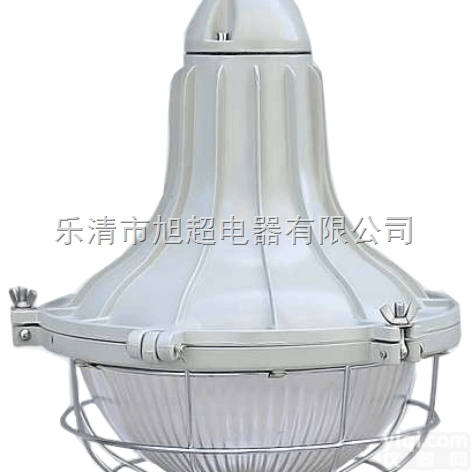 <em>粉尘</em><em>防爆灯</em>  BAD-DIP100xZL/<em>粉尘</em><em>防爆灯</em>/BAD-DIP100gxL/B...