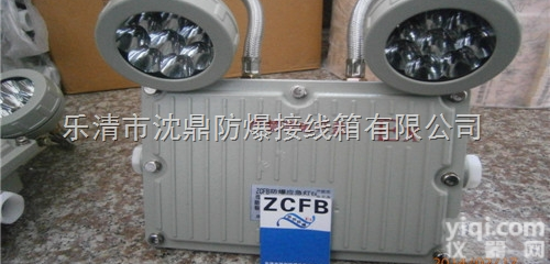 <em>防爆</em><em>应急灯</em>，<em>防爆</em><em>应急灯</em>厂家，<em>防爆</em><em>双头</em><em>应急灯</em>