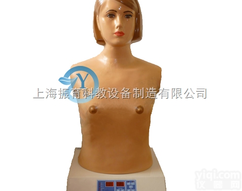 ZY-Ⅳ  心肺触诊听诊<em>仿真</em>模<em>拟人</em>