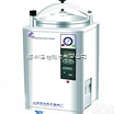 LDZX-30KBS  手轮式<em>不锈钢</em>压力灭菌器/<em>容积</em>30L<em>不锈钢</em>压力灭菌器