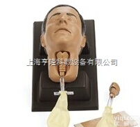 环甲膜<em>穿刺</em>和切开<em>模型</em>