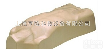 Laerdal® 静脉注射<em>躯干</em>训练<em>模型</em>