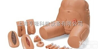 男性骨盘 - 可<em>互换</em><em>导尿</em>与<em>灌肠</em>模型