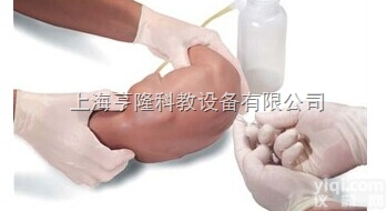 婴儿<em>腰部</em><em>穿刺</em><em>模型</em>