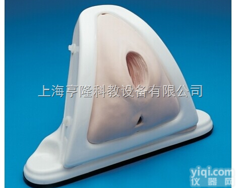 新会阴<em>切开</em>术训练<em>模型</em>