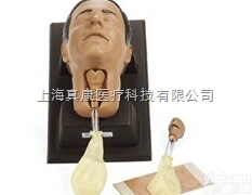 环甲膜<em>穿刺</em>和切开<em>模型</em>