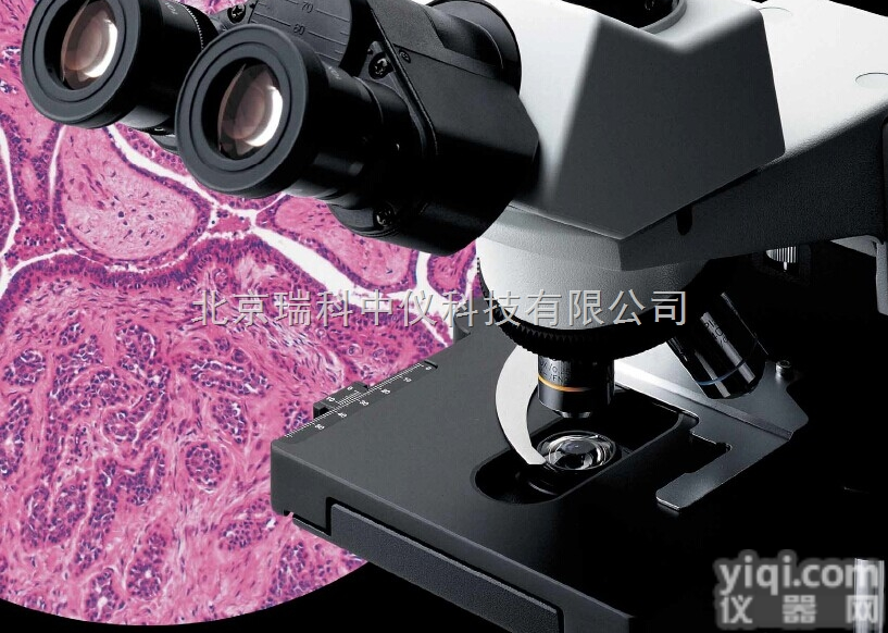 奥林巴斯<em>显微镜</em>CX31的<em>100</em>倍物镜工作距离是多少？是油镜吗？