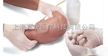 婴儿<em>腰部</em><em>穿刺</em><em>模型</em>