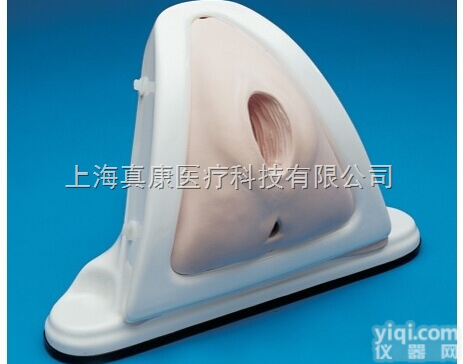 新会阴<em>切开</em>术训练<em>模型</em>