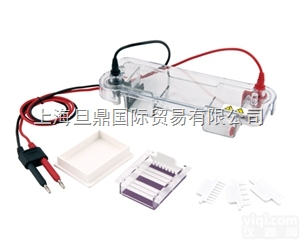 水平<em>电泳</em>槽JY-SPAT型|<em>北京</em>水平<em>电泳</em>仪|<em>电泳</em>仪多少钱