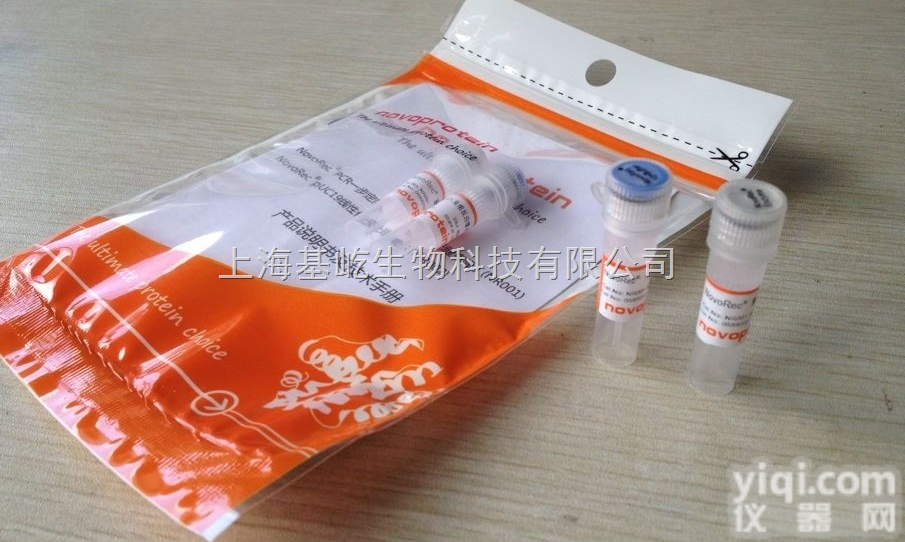 NovoRec® PCR一步定向<em>克隆</em><em>试剂盒</em>（无缝<em>克隆</em>）