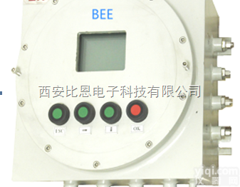 BEE-4500  <em>西安</em><em>比恩</em>科技BEE-4500防爆型氧气分析仪