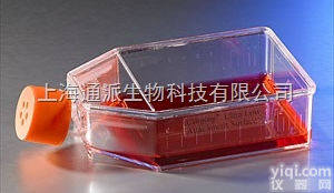 Jurkat  T淋巴<em>细胞</em>白血病<em>细胞</em> Jurkat<em>细胞</em> Jurkat<em>传代</em><em>细胞</em>