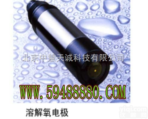 FDRTRIOXY-<em>5300</em>  溶解氧<em>电极</em>  型号：FDRTRIOXY-<em>5300</em> 中慧