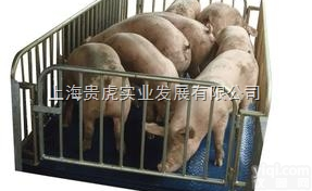 GH-SCS  2吨带<em>围栏</em><em>地磅</em>，带<em>围栏</em>动物<em>地磅</em>