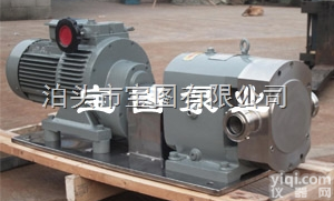 3-2RP-28-0.6  <em>糖蜜</em>输送高粘度泵--泊头<em>宝图</em>