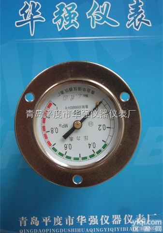 <em>Y60ZT</em>  <em>Y60ZT</em>轴向带边<em>压力表</em>