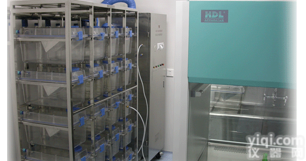 <em>MDCK 细胞,犬上皮细胞</em>