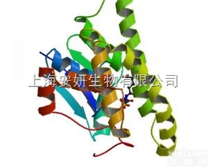Anti-MelanA<em>抗体</em>，黑<em>色素</em>瘤相关抗原/黑<em>色素</em>-A<em>抗体</em>