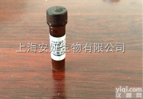 Anti-MYBPC3<em>抗体</em>，心脏肌<em>球蛋白</em>结合蛋白<em>抗体</em>