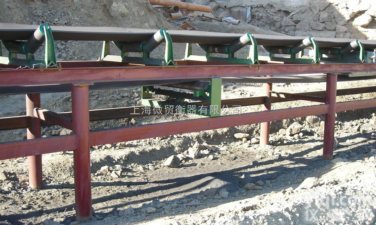 上海电子<em>皮带秤</em>（称），传输带秤/<em>厂家</em>直销