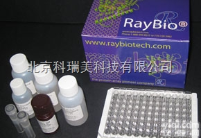 <em>Custom</em> <em>Human</em> BMP-3 ELISA Kit