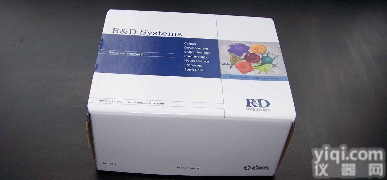 人β<em>淀粉</em>样<em>蛋白</em>42（Aβ42）ELISA<em>试剂盒</em>