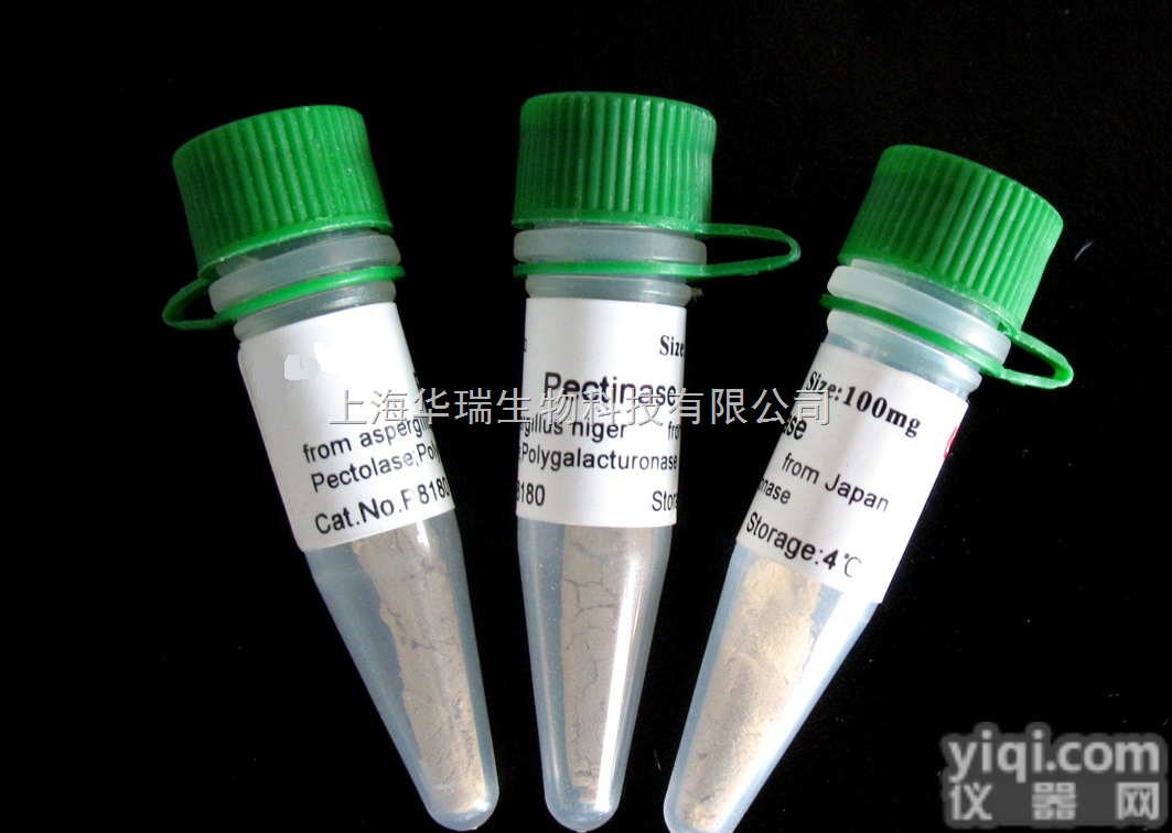 Anti-DGAT2L4<em>抗体</em>,二<em>酰基</em>甘油<em>酰基</em>转移酶2样蛋白4<em>抗体</em>【供应...