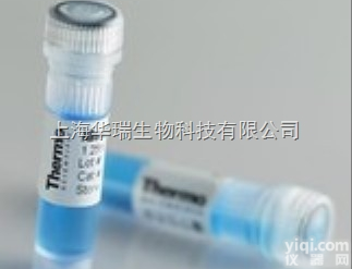 Anti-DUXA<em>抗体</em>,双<em>同源</em>盒<em>蛋白</em>A<em>抗体</em>