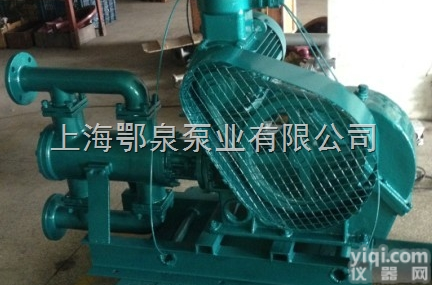 WBR型<em>耐高温</em>电动<em>往复泵</em>