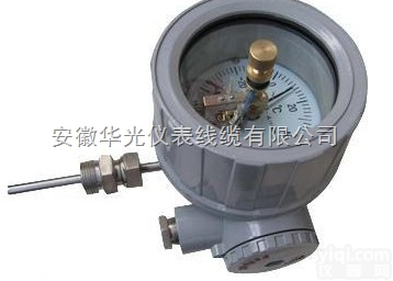 WSSX-480B HWSSX-410B  益阳防爆双金属温度计型号|220V防爆双金属温度计厂家|耐压防爆双金属...
