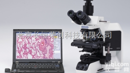 <em>BX53</em>  供应<em>奥林巴斯</em>显微镜<em>BX53</em>