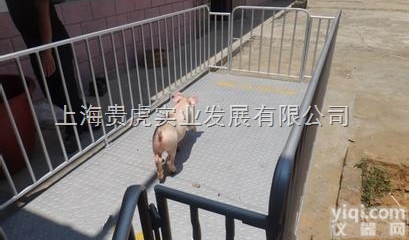 GH-SCS  <em>畜牧</em>电子磅，<em>不锈钢</em>牲畜电子磅