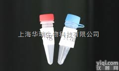 Anti-ANTXR2抗体,<em>炭疽</em><em>毒素</em><em>受体</em>2抗体