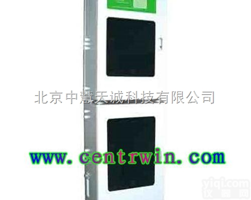 ZH6594  <em>总磷在线分析仪</em>/在线总磷分析仪  型号：ZH6594 中慧