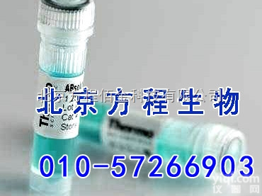 pGEM-T  easy <em>Vector</em> （T载体）promega原装