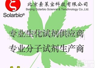 R8280  <em>Protein</em> A+G <em>Agarose</em>   <em>Protein</em> A+G 琼...