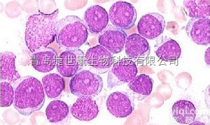 <em>氨水</em>/<em>氢氧化铵</em><em>水溶液</em>（5%）